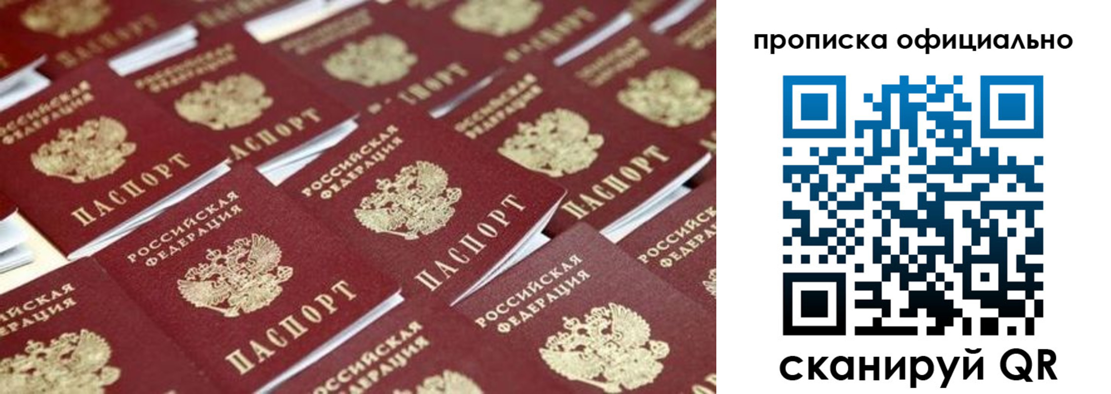 прописка гарантия в Видном